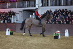 SBM_003391