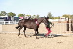 SBM_00172
