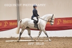 BPP_8818