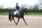 British Dressage portfolio