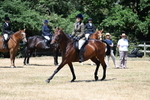 WJ7_3132