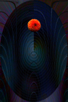 LMB11 Dahlia