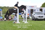 BPP_6581