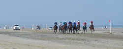Laytown races Panoramic