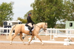 SBM_03768