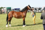 SBM_02357