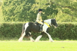 SBM_68994