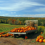 Pumpkin Harvest Wagon
