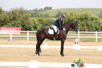 SBM_006223