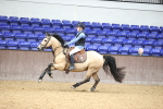 SBM_001732
