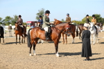 SBM_02323