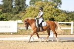 SBM_007716