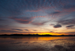 Rough Firth, Galloway (09081433)