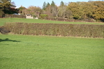 WJ6_3306