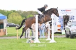 BPP_6603