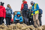 Loughrigg-805