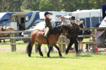 SBM_05305