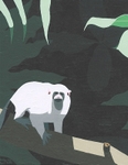 Sagui branco / Silvery marmoset