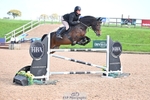 Cls 10 Foxhunter and 1.20m portfolio