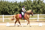 SBM_010400