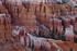 BRYCE CANYON