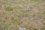 250830A-133638-06222