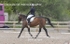 BPP_6769