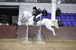 SBM_002594