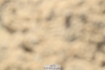 251004A-105349-00462