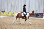 SBM_006297