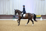 SBM_007046