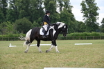 WJ6_6632
