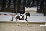 WJ5_1353