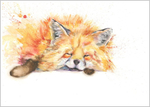 SLEEPY FOX Fine art print 438 B