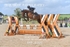 BPP_8392