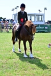 SBM_08096