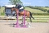 BPP_4486