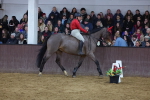 SBM_004553