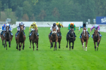 080925-Race 6-Rhapsody-9569