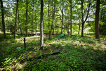 Catskill Game Farm (Catskill, NY) | Overgrown Mini Golf