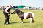 SBM_02012