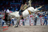3HRodeo_CFD_JUL_18_2026_02487