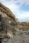 Lundy  Coast _053