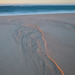 North Coast Tasmania Abstract