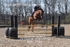 BPP_7351