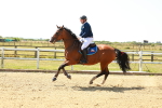 SBM_000938