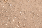 SBM_02624