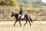 SBM_000734