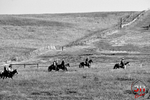 _DSC1545 BW