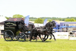SBM_06687